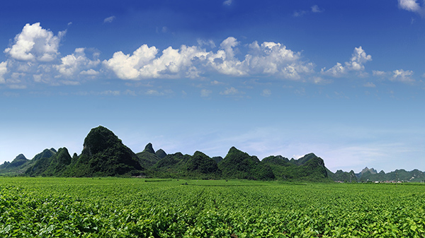 桑園基地（藍天）.jpg