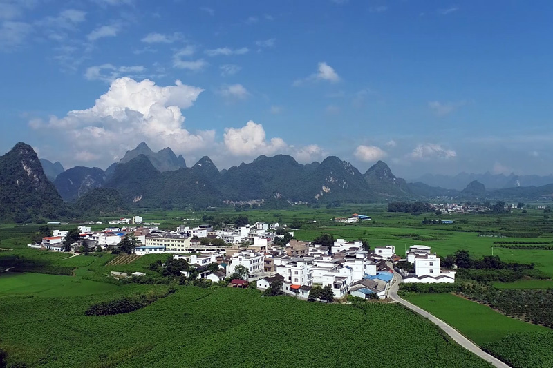 桑園環抱中的上坪村。